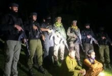 Pulwama OGW arrest security forces operation