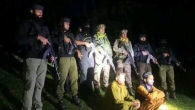 Pulwama OGW arrest security forces operation
