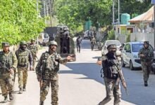 Security Forces Kashmir operation and arrests