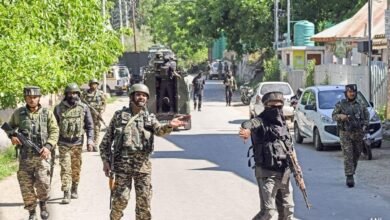 Security Forces Kashmir operation and arrests