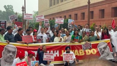 Statehood Protest Parliament by opposition MPs for Jammu and Kashmir