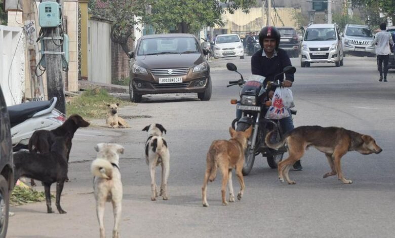 Stray Dogs Jammu Kashmir population management